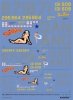 Kagero 19004 Martin B-26 Marauder & Douglas A-26 Invader in Combat over Europe EN/PL